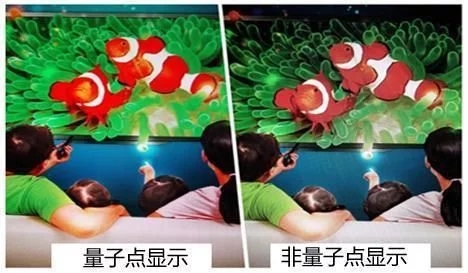 2021年如何選購電視？牢記這幾個要點參數，保證不出錯