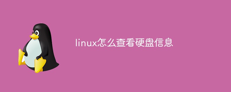 linux怎么查看硬盤信息