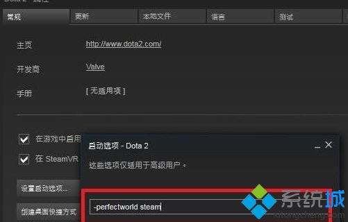 dota2國服啟動(dòng)項(xiàng)怎么設(shè)置_dota2啟動(dòng)項(xiàng)設(shè)置方法
