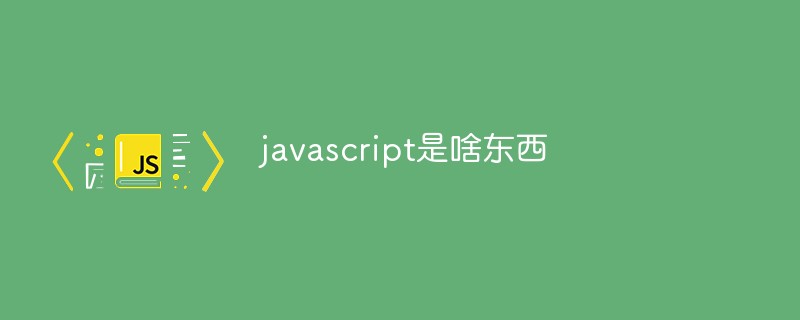 javascript是啥東西