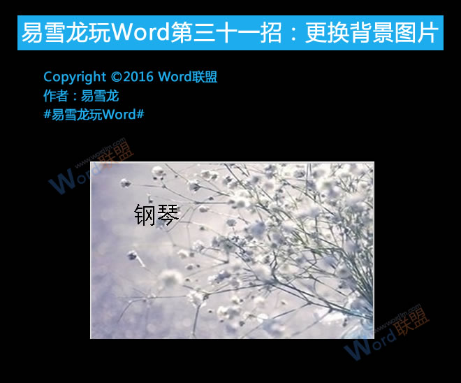 word更換背景圖片 更換背景圖片：易雪龍玩Word第三十一招