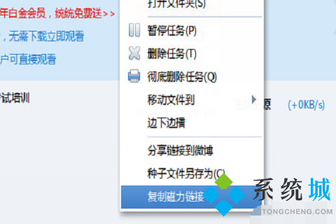 迅雷下載速度為0怎么解決 迅雷下載一直是0kb不動(dòng)的解決方法