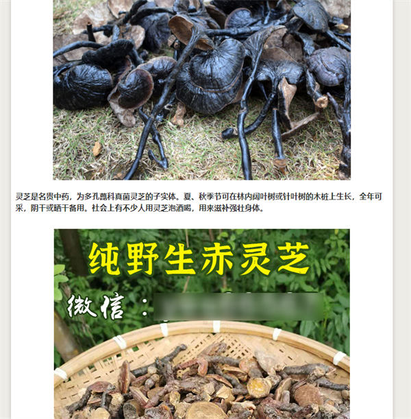 做網站，還是大有可為！