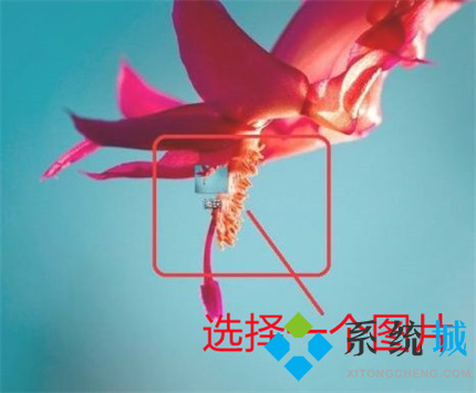 畫(huà)圖3d使用教程 win10畫(huà)圖3d更改像素的使用方法