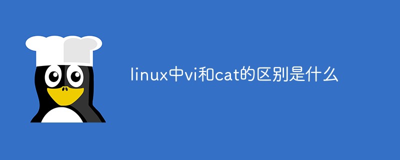 linux中vi和cat的區別是什么