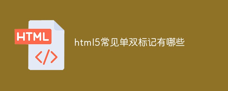html5常見單雙標記有哪些