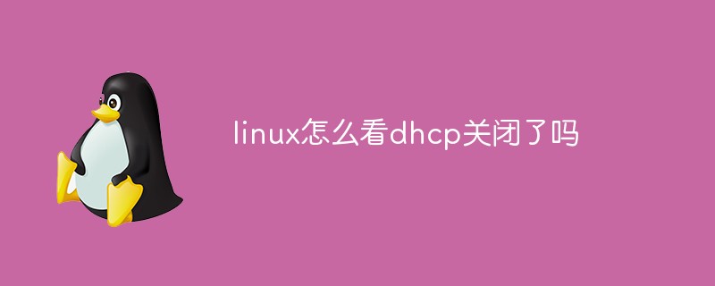 linux怎么看dhcp關閉了嗎