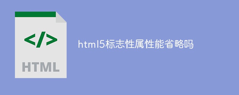 html5標志性屬性能省略嗎