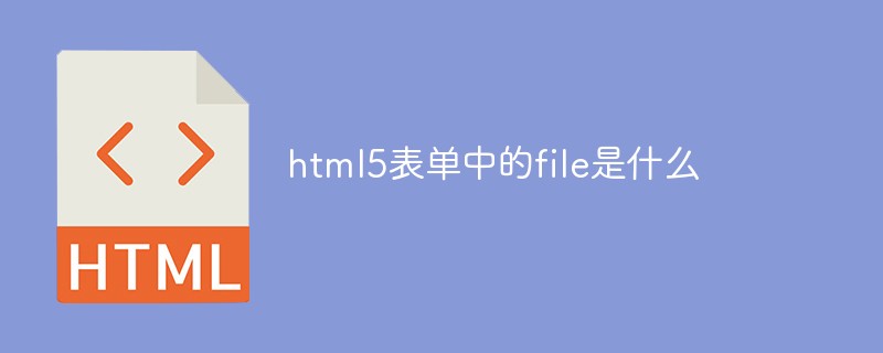 html5表單中的file是什么