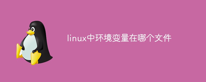 linux中環(huán)境變量在哪個文件