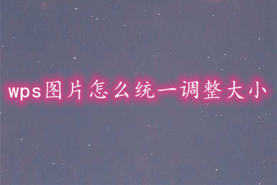 wps圖片怎么統(tǒng)一調(diào)整大小 wps批量調(diào)整圖片大小的方法介紹