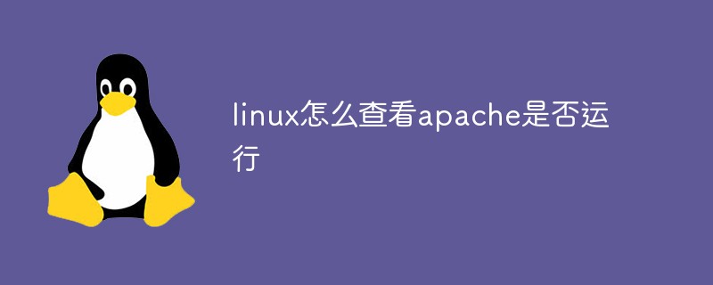 linux怎么查看apache是否運(yùn)行