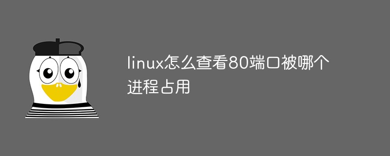 linux怎么查看80端口被哪個(gè)進(jìn)程占用