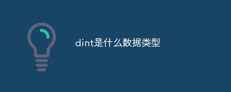 dint是什么數據類型