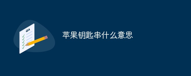 蘋果鑰匙串什么意思