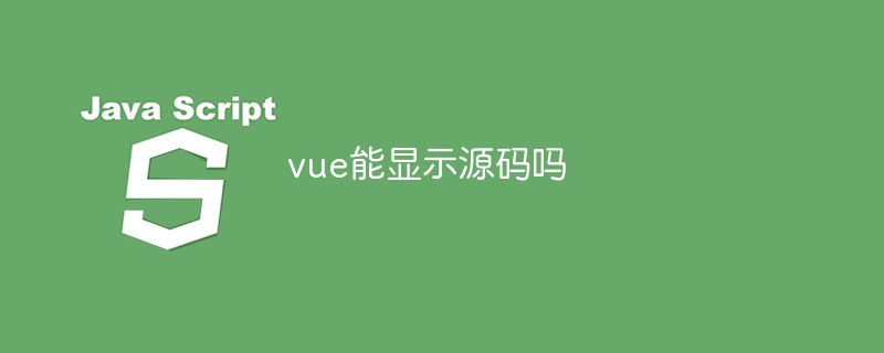 vue能顯示源碼嗎