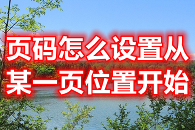 頁碼怎么設置從某一頁位置開始 設置頁碼從某一頁位置開始的方法介紹