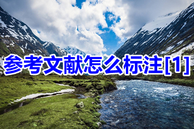 參考文獻怎么標注[1] 正文中引用的文獻的標注方法
