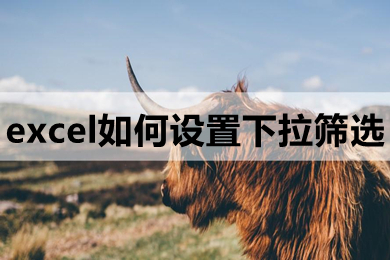 excel如何設置下拉篩選 excel設置下拉篩選的操作步驟