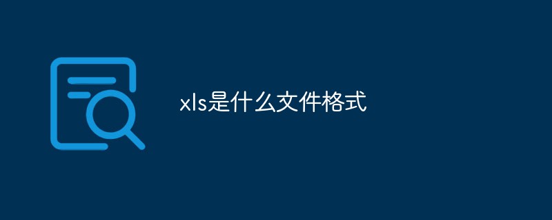 xls是什么文件格式