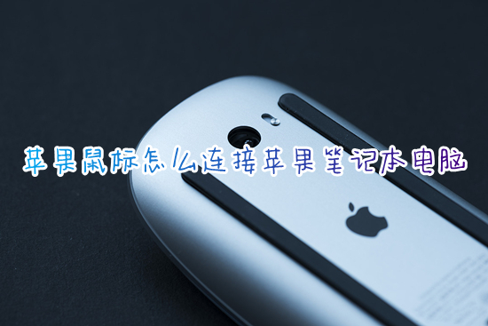 蘋果鼠標(biāo)怎么連接蘋果筆記本電腦 蘋果電腦如何連接無線鼠標(biāo)