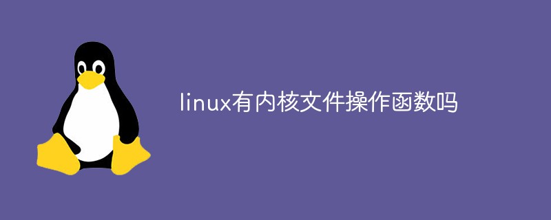 linux有內核文件操作函數嗎