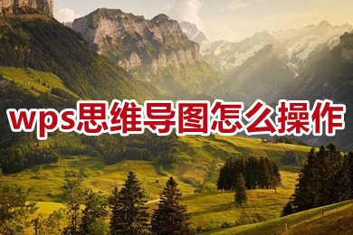 wps思維導(dǎo)圖怎么操作 wps怎么弄思維導(dǎo)圖