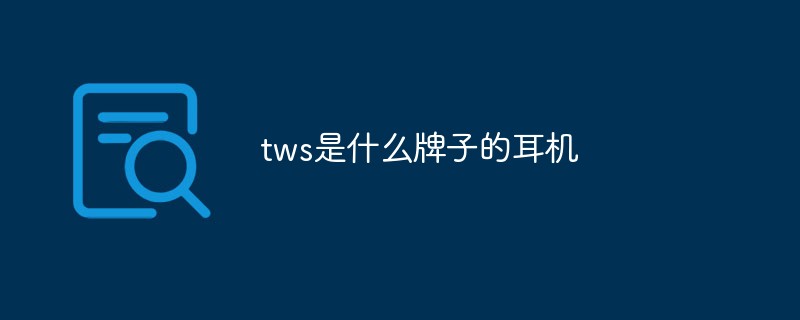 tws是什么牌子的耳機(jī)