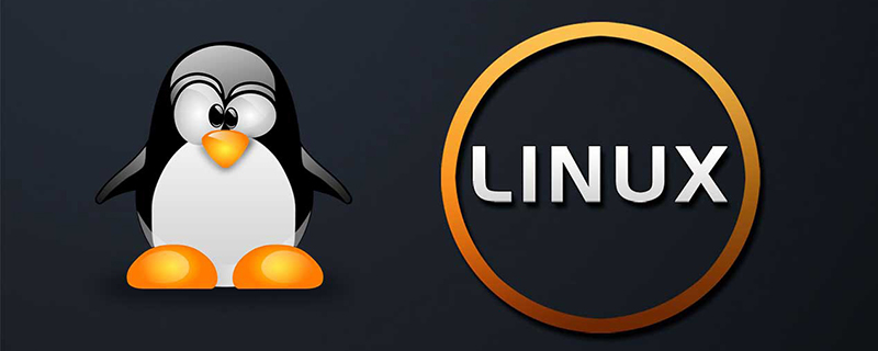 Linux常用命令：cp命令實例練習