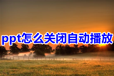 ppt怎么關閉自動播放 幻燈片自動放映關掉方法