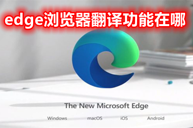 edge瀏覽器翻譯功能在哪 edge瀏覽器自動翻譯怎么打開