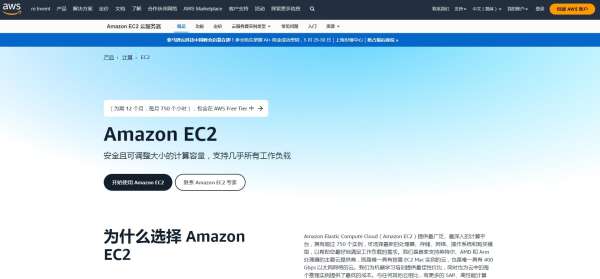 適合搭建印度尼西亞Tiktok直播環境的VPS云服務器有哪些